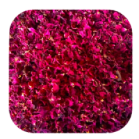 herbs (4)