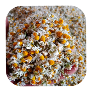 herbs (5)