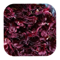 herbs (7)
